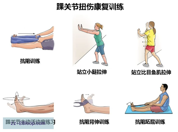 花样游泳踝部康复方案细化，回归节奏更稳妥
