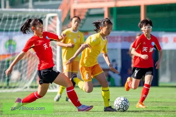 认识28圈在线玩